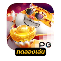 Fortune Tiger